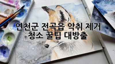 🏡 연천군 전곡읍 악취 제거 청소, 꿀팁 대방출! ✨
