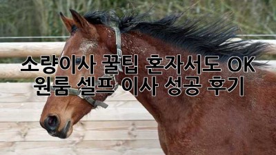 소량이사 꿀팁🍯 혼자서도 OK! 원룸 셀프 이사 성공 후기✨