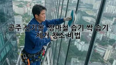 공주 신기동 🏡 장마철 습기 싹! 습기 제거 청소 비법 💦