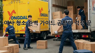 이사 청소 완벽 가이드: 곰팡이 걱정 끝! ✨